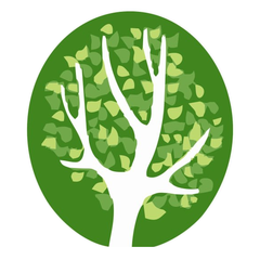 MZFIRSTMOTION SDN BHD logo