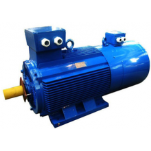 Three Phase Induction Motor